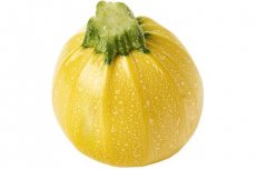 bolcourgette geel